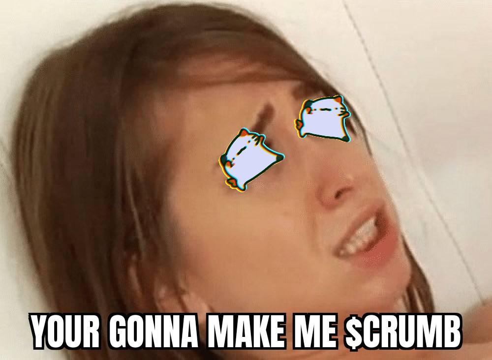 meme 34